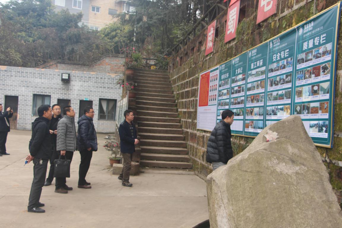 浙江送变电工程公司领导、专家莅临我 施工项目部参观考察