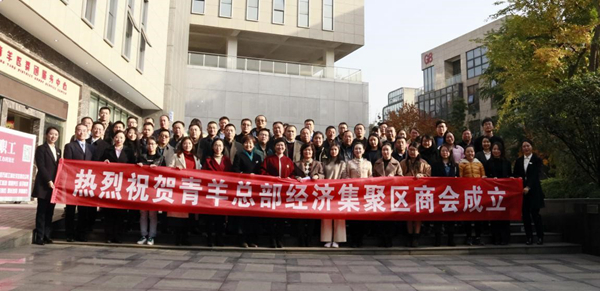 热烈祝贺成蜀电力集团当选青羊总部经济集聚区商会常务副会长单位