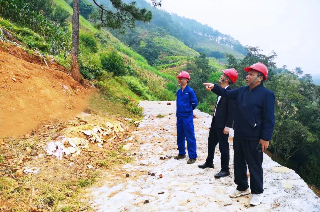 成蜀电力集团领导节日假期分赴项目一线指导工作