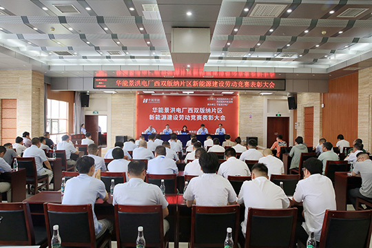 成蜀电力集团荣获华能景洪电厂新能源建设劳动竞赛 “先进单位”称号