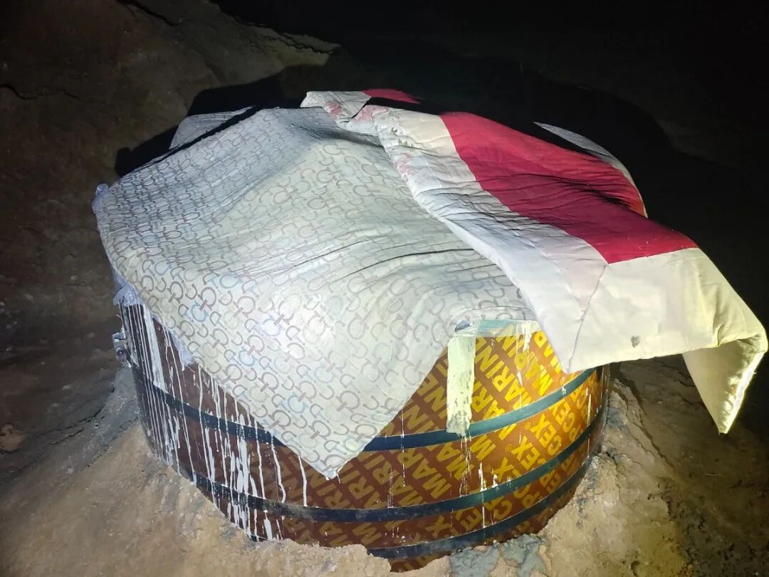 集团承建的桥西区100MW光伏复合项目110kV送出线路EPC工程成功并网